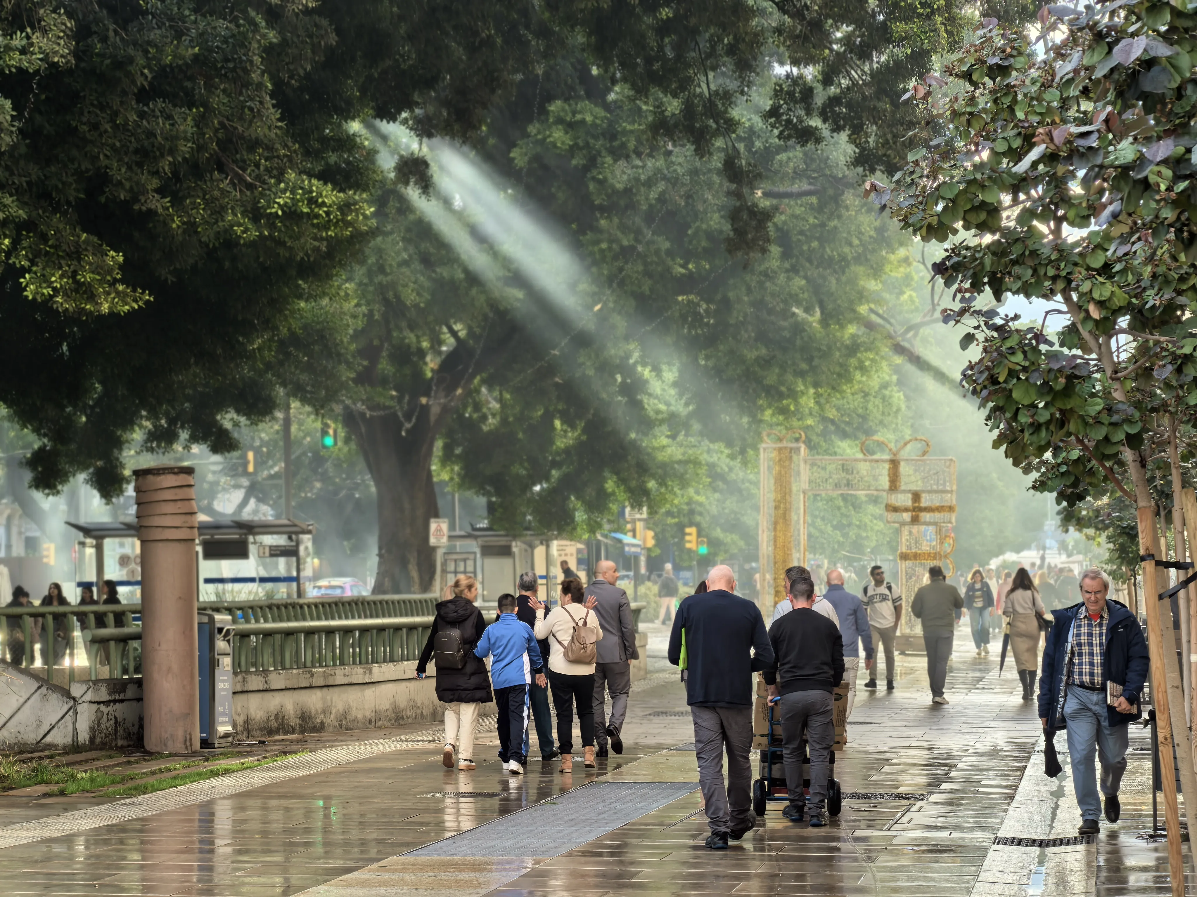 HUAWEI Pura 70 Ultra - System Aparatów - IMG_20251117_163737.webp